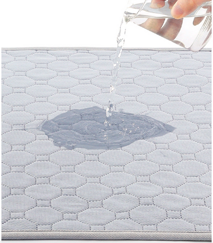 Eiyye Reusable Pet Training Pad - 4-Layer Absorbent & Waterproof Machine Washable